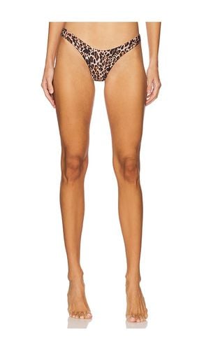 X REVOLVE Avy Bikini Bottom in Brown. - size L (also in M, S, XL) - Agua Bendita - Modalova