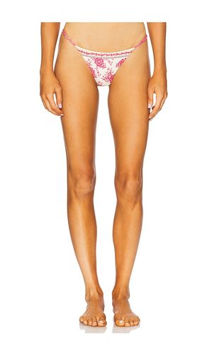 X REVOLVE Maisie Bikini Bottom in Cream,Fuchsia. - size S (also in M, L) - Agua Bendita - Modalova