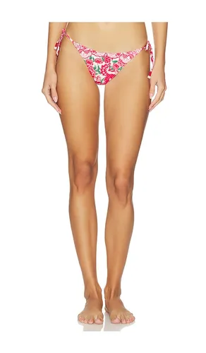 X REVOLVE Alegria Bikini Bottom in Rose. - size L (also in M) - Agua Bendita - Modalova