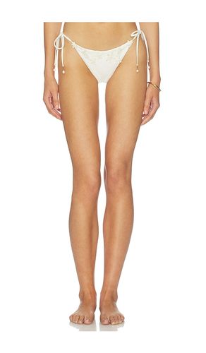 Alegria Ivy Bikini Bottom in . - size S (also in M, L) - Agua Bendita - Modalova