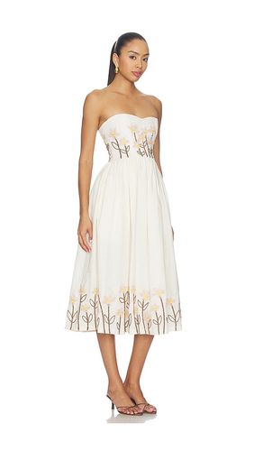 MIDI-KLEID PRUNA in . Größe S. Also in M, L, XL - Agua by Agua Bendita - Modalova