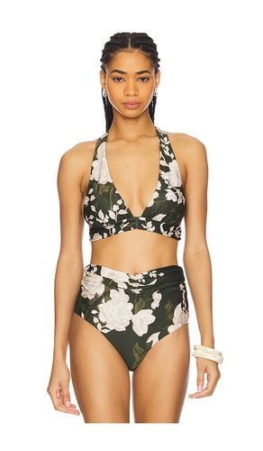 Marimar Bikini Top in Dark Green. - size L (also in M, S, XS) - Agua by Agua Bendita - Modalova