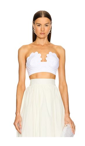 X REVOLVE Coquillage Strapless Top in White. - size L (also in M, S) - ADRIANA DEGREAS - Modalova