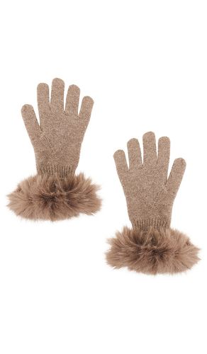 HANDSCHUHE CASHMERE in - Adrienne Landau - Modalova