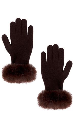 Lucie Glove in - Adrienne Landau - Modalova