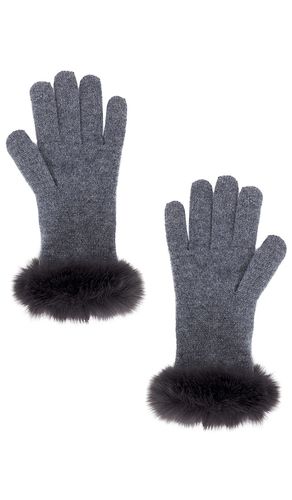Lucie Glove in - Adrienne Landau - Modalova