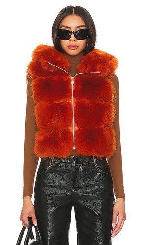 Faux Fur Hooded Vest in . - size L (also in M, S) - Adrienne Landau - Modalova