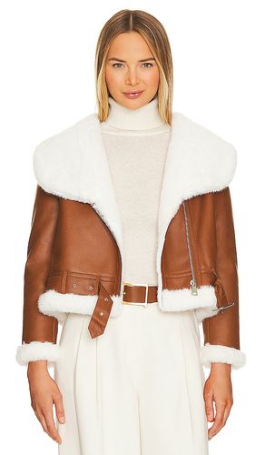 Faux mink fur bonded jacket in color tan size L in & - Tan. Size L (also in M, S) - Adrienne Landau - Modalova