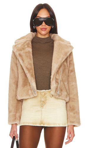 Faux Mink Jacket in . Taglia M - Adrienne Landau - Modalova