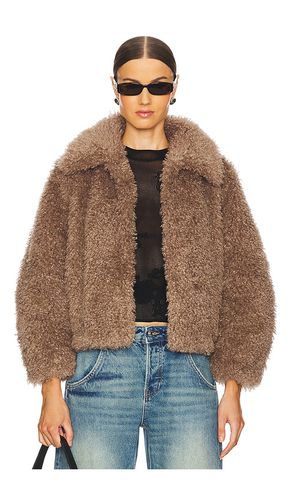 The Teddy Bomber in . Taglia M - Adrienne Landau - Modalova