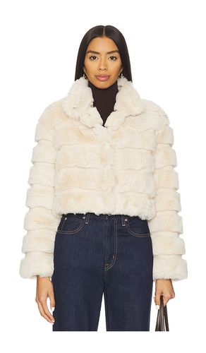 Goldie Jacket in Cream. - size L (also in M, S) - Adrienne Landau - Modalova