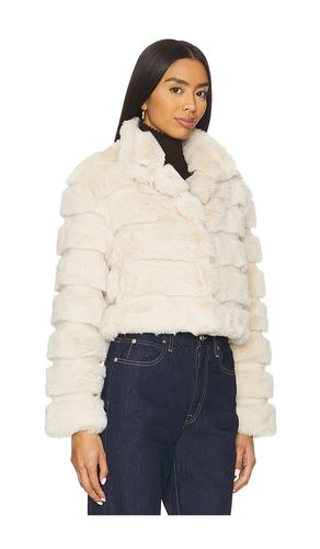 Goldie Jacket in Cream. - size L (also in M, S) - Adrienne Landau - Modalova