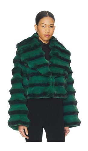 Chinchilla Jacket in ,. Size M. Also in S - Adrienne Landau - Modalova