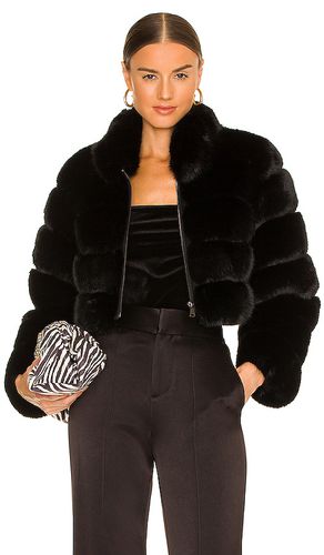 Faux Fox Fur Jacket in . - size L (also in M, S) - Adrienne Landau - Modalova