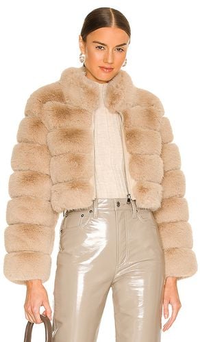 Faux Fox Fur Jacket in Beige. - size M (also in L, S) - Adrienne Landau - Modalova