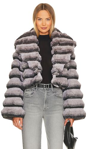 Faux Fur Chinchilla Jacket in . - size S (also in M) - Adrienne Landau - Modalova