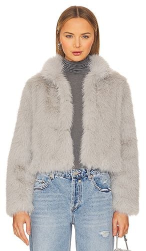 Faux Fox Fur Jacket in . - size L (also in M, S) - Adrienne Landau - Modalova