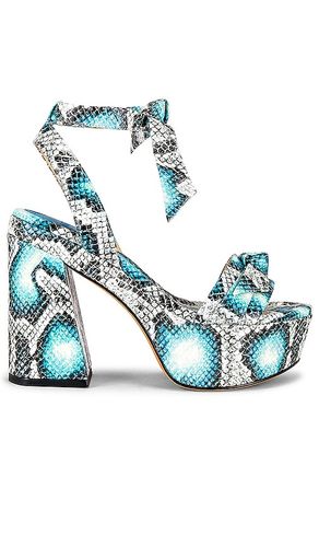 Tacón clarita en color azul cerceta talla 36 en - Teal. Talla 36 (también en 36.5, 37, 37.5, 38, 38.5, 39, 4 - Alexandre Birman - Modalova