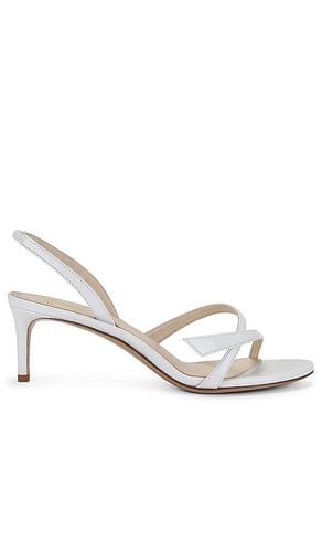 Sandalia tita en color talla 36.5 en - White. Talla 36.5 (también en 37, 37.5) - Alexandre Birman - Modalova