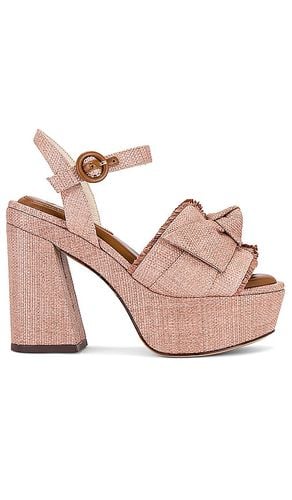 Maxi Clarita Raffia 120 Sandal in . - size 39.5 (also in 40) - Alexandre Birman - Modalova