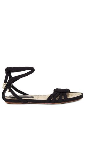 Vicky rope sandal in color size 36 in - . Size 36 (also in 37, 38, 39, 40) - Alexandre Birman - Modalova