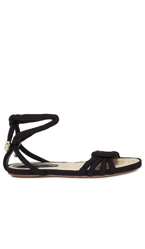 Vicky Rope Sandal in . - size 36 (also in 38, 39, 40) - Alexandre Birman - Modalova