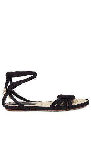 Vicky Rope Sandal in . Taglia 38, 39, 40 - Alexandre Birman - Modalova