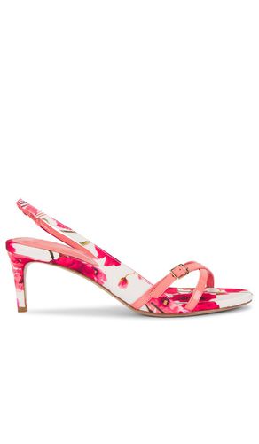 Maia 60 sandal in color size 37 in & - . Size 37 (also in 36, 38, 39, 40) - Alexandre Birman - Modalova