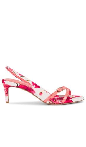 Maia 60 Sandal in . Size 36, 38, 40 - Alexandre Birman - Modalova