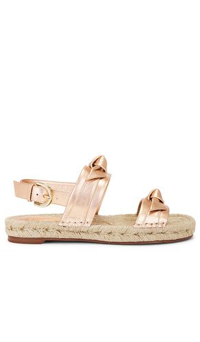 Clarita Espadrille Sandal in Metallic Copper. - size 36 (also in 37, 38, 39) - Alexandre Birman - Modalova