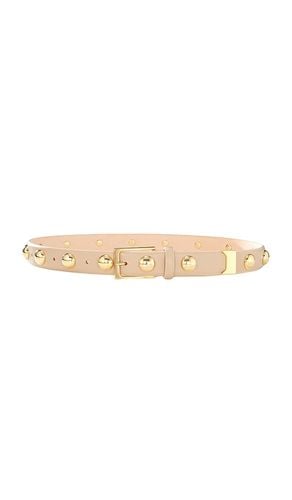 Studded Belt in . - size M/L (also in XS/S, XXS) - AUREUM - Modalova