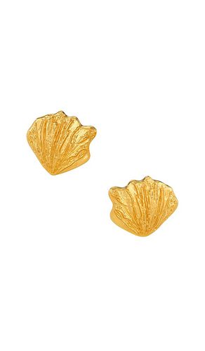 Oyster Earrings in Metallic - AUREUM - Modalova