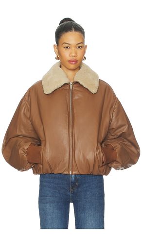 Leather Bomber Jacket in . Taglia S. Also in XS - AEXAE - Modalova