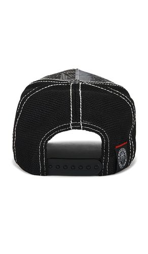 Ink hat in color black size all - Affliction - Modalova