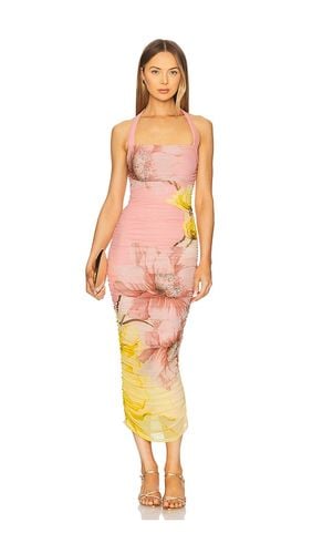 Indina Halter Dress in Pink. - size 1X (also in 3X) - AFRM - Modalova