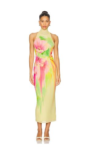 Olimpia Dress in Yellow,Pink. - size L (also in M, XL, XXL) - AFRM - Modalova