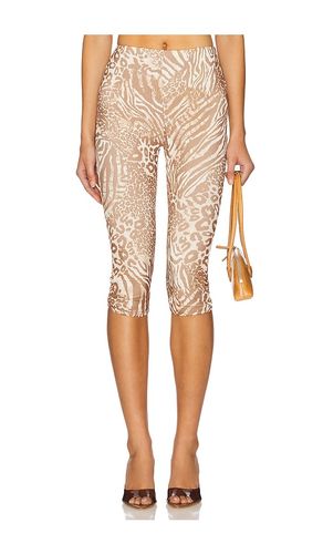 Gianna Pant in Brown. - size 1X (also in 2X, 3X, L, M, S, XL, XS, XXL, XXS) - AFRM - Modalova