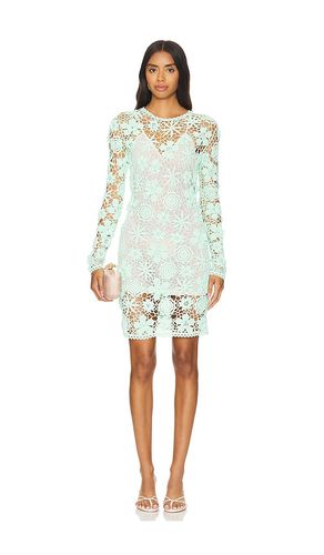 X Revolve Sydney Crochet Mini Dress in Mint. - size L (also in M, S, XS) - AKNVAS - Modalova