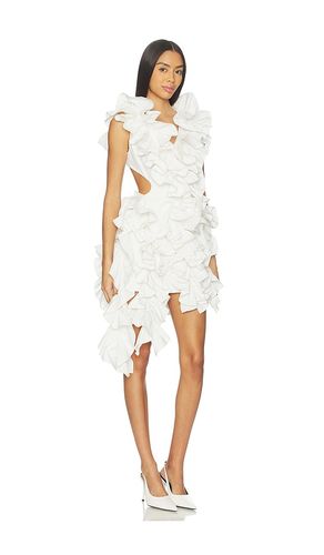 Olive Ruffle Dress in . Size 0. Also in 4 - AKNVAS - Modalova
