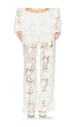 Adrian Floral Lace Pants in . - size 0 (also in 10, 12, 2, 4, 6) - AKNVAS - Modalova