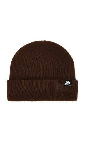 Simple Beanie in - Autumn Headwear - Modalova