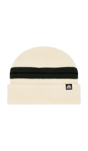 Horizon Beanie in Cream - Autumn Headwear - Modalova