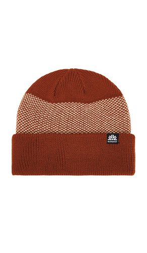 Birdseye Beanie in Orange - Autumn Headwear - Modalova