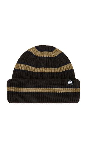 Slacker Beanie in - Autumn Headwear - Modalova