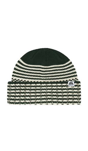 Autumn Headwear BEANIE NA in Green - Autumn Headwear - Modalova