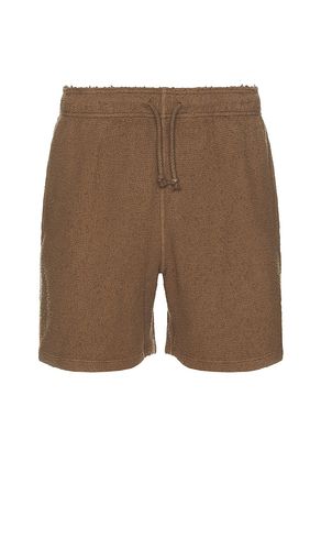 Salomon Short in Brown. - size L (also in S) - Asher - Modalova