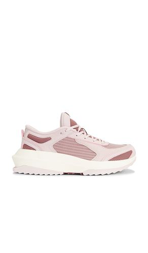 Jogger Sneaker in Pink. - size 6.5 (also in 7, 7.5, 8, 8.5, 9, 9.5) - APL: Athletic Propulsion Labs - Modalova