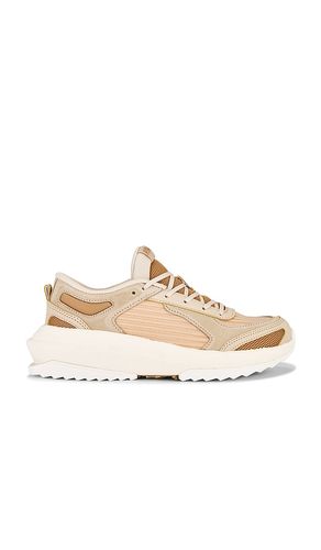 Jogger Sneaker in Neutral. - size 10 (also in 6, 7, 7.5, 8, 8.5, 9, 9.5) - APL: Athletic Propulsion Labs - Modalova