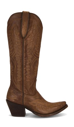 BOOTS CASANOVA in . Größe 5.5. Also in 7.5, 8, 8.5, 9.5 - Ariat - Modalova