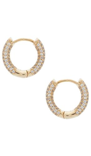 Mini Pave Wide Rounded Huggie Earring in - By Adina Eden - Modalova